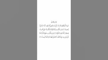 صلاة التراويح ليلة ٧ رمضان ١٤٤٥هـ سورة النساء الآيات من ١١٠ إلى ١١٢ الشيخ عبدالله القرافي