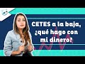 Qué hacer con cetes ahora que siguen bajando las tasas | Sofía Macías