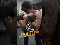 Preacher Pad curls