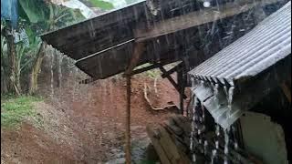 Heavy Rain Atmosphere In The Countryside Creates A Comfortable Atmosphere, Eliminates Stress⛈️