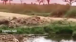 Ölüme Çalım Atmak