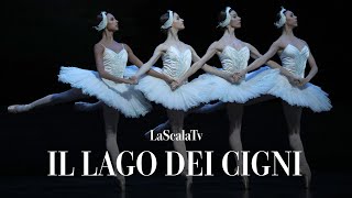 Vignette de la vidéo "Il lago dei cigni - Danza dei piccoli cigni (Teatro alla Scala)"