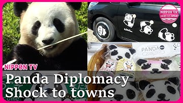 No more Pandas? Japanese panda fans visit before pandas’ planned return to China