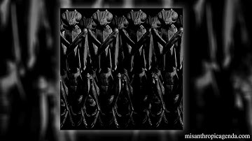 Francisco Meirino & Dave Phillips - Haecceity