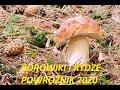 Rydze w kolejnej miejscówce - Powroźnik 2020