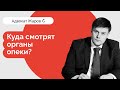 Куда смотрят органы опеки? Минпросвещения им не указ!