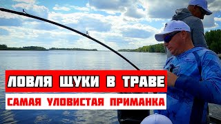 картинка: КАК ЛОВИТЬ ЩУКУ В ТРАВЕ НА СПИННИНГ. 