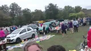 Escaped Elephant Crashes Dutch Car Boot Sale