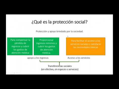 Vídeo: Mi Discapacidad Me Enseñó Que El Mundo Es Raramente Accesible