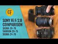 Sigma 28-70 vs. Tamron 28-75 vs. Sigma 24-70: FE-mount f/2.8 zoom lens comparison