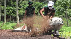 Upaya Ketahanan Pangan Yonarhanud 13/PBY menghadapi Pandemi Covid-19