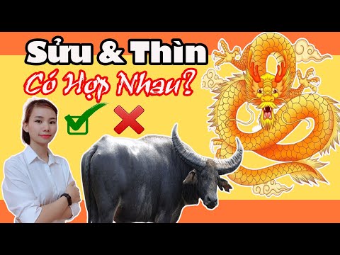 Video: Tử Vi Phương Đông Tương Hợp: Thìn Và Sửu