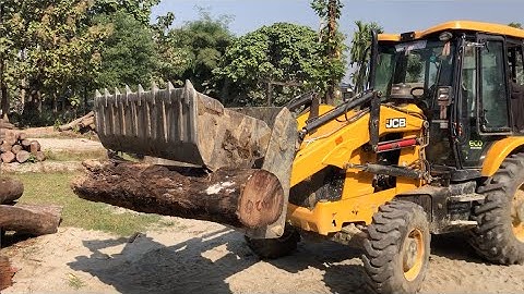 JCB Backhoe Loader Loading A Piece Of Tree On A Tractor - JCB Vs Tree
