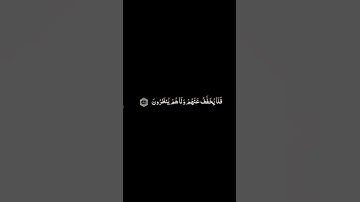 كرومات القرآن الكريم | ياسر الدوسري - سورة النحل ٨٤ - ٨٦ | #ملون
