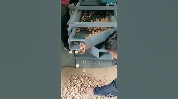 Almond Shelling Machine Walnut Kernel Separator Machine