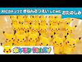 【ポケモン公式】３０ピカチュウできねんさつえいしてみた！－ポケモン Kids TV