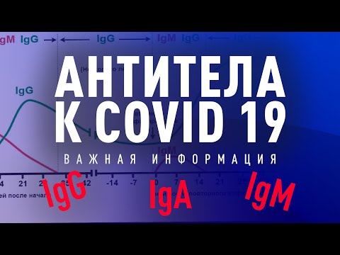 Антитела к коронавирус. Какие бывают? Что означают?