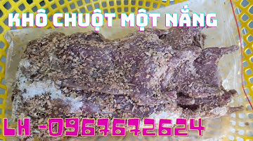 Thăm Bẫy Chuột Cống Nhum Tập 147( Số lượng có hạn)#ccvlog