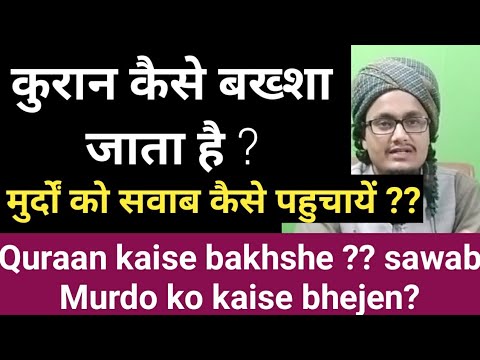 वीडियो: एक खरगोश को पेशाब करने के लिए कैसे प्रशिक्षित करें (चित्रों के साथ)