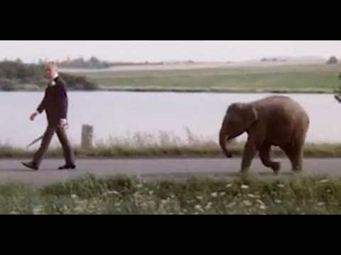 28.Elefantenjagd (01.01.1979)