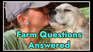 👩🏻‍🌾 Homestead Questions You're Asking! 🧡