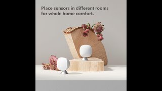 ecobee Smart Sensor 2-Pack Review – Comfort, Security & Energy Savings!