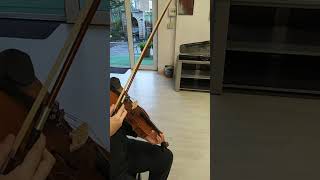 Violino Violin Lesson
