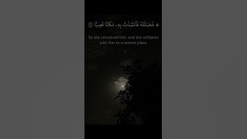سورة مريم ماهر المعيقلي - قالت أنى يكون لي غلام ولم يمسسني بشر ولم أك بغيا
