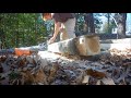 Timber Tuff Beam Maker