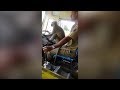Pustio majmuna da vozi autobus