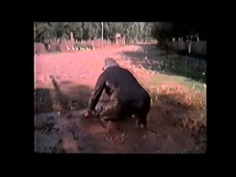 გამოუშვი!