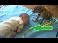 A Mom Was Filming As Her Baby Fell Asleep – And Caught The Moment Their Puppy Approached A Mom Was Filming As Her Baby Fell Asleep – And Caught The Moment Their Puppy Approached