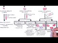 Types Of Anaemia Table