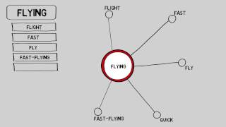 Flying - Thesaurus - Synonyms - Video