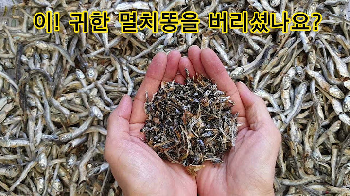 멸치똥(내장) 지금부터 절대 버리지 마세요/ 어마 어마한 효능