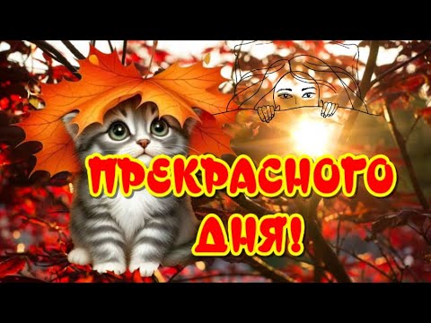 Доброе Утро😃Отличного настроения🥰Прекрасного Дня🎶Музыкальная открытка