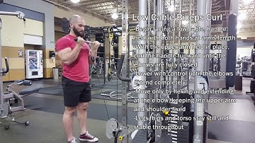Low Cable Biceps Curl