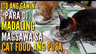 Paraan Para Di Madaling Magsawa Sa Cat Food Ang Inyong Mga Alagang Pusa (#229)