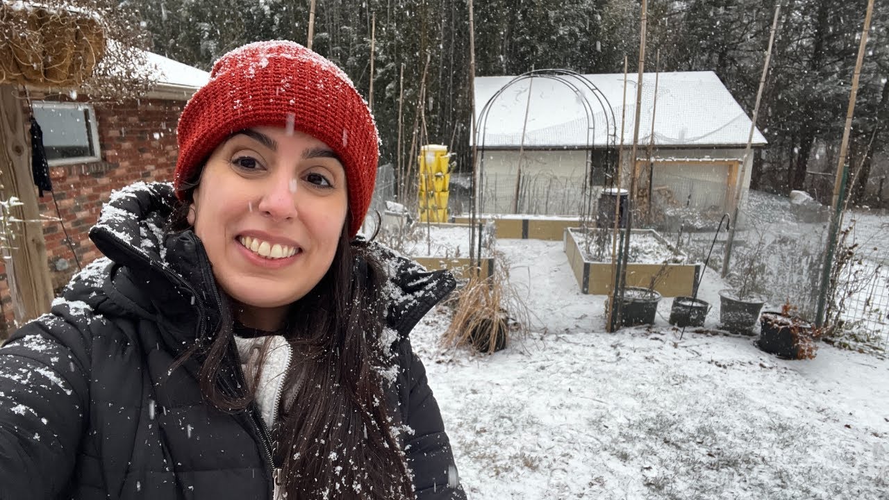 Winter Garden Walk (+ Some Exciting News)