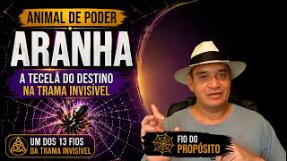 Quando a Aranha Surge, um Fio do Seu Destino Está Sendo Tecido