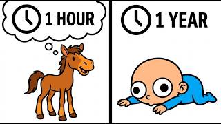 Why Does It Take Humans 365x Longer to Walk