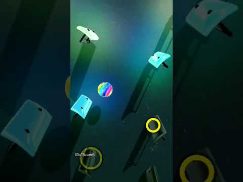Hokey Pokey -B2-