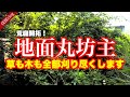 【伐採】【草刈】酷暑の伐採祭、全て伐ります