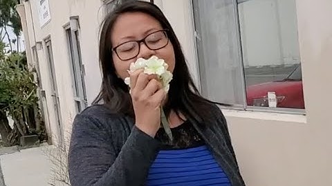 PALS: Coping with The Uncontrollable