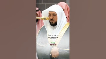 فأعلم أنه لا إله الا الله_سورة محمد_ صلاة العشاء 11 شعبان 1446هـ_فضيلة الشيخ د. ماهر المعيقلي_#quran