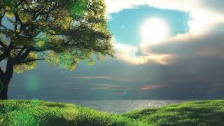 Beautiful nature landscape Tree lake clouds Sunshine - Animated background wallpapers loops videos