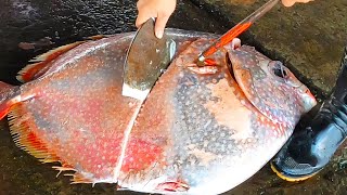 Fish Filleting - Giant Opah Sunfish(Moonfish)\/Taiwanese street food