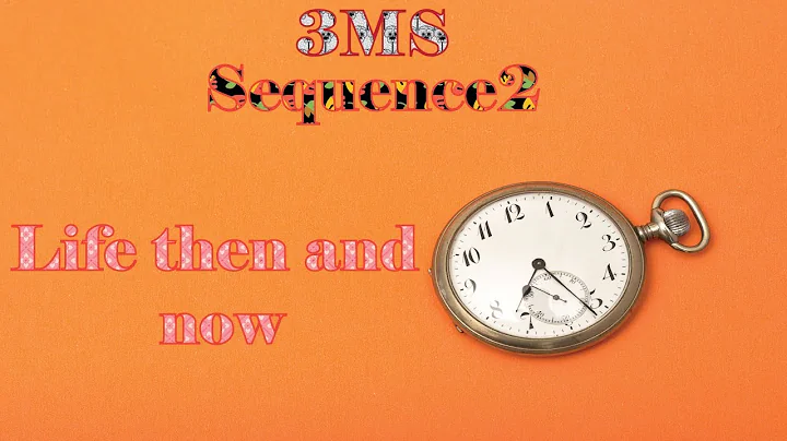 3MS.Seq2.Me and Lifestyles video presentation"Life between the past and the present"