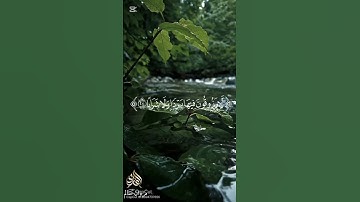 #تلاوة_خاشعة #القرآن_الكريم القارئ مروان سالم #صوت_جميل #تلاوه #سورة_النبأ