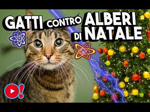 Stella Di Natale Gatti.Lavoretti Di Natale Pupazzi Di Neve Con I Tappi Youtube